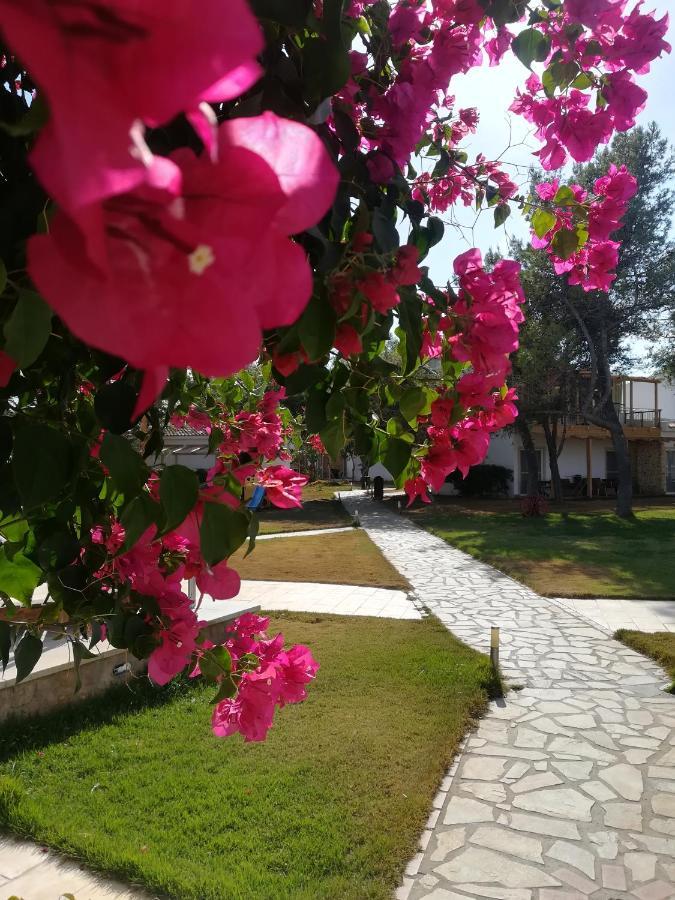 Marzi Beach And Bungalows Kokkónion Exterior foto